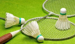 Cầu Lông Tại 2Bong88