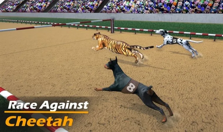 Bí Kíp Cách Chơi Game Nhanh Đua Chó Tại 2Bong88 Luôn Bất Bại 1 Đua Chó Tại 2Bong88